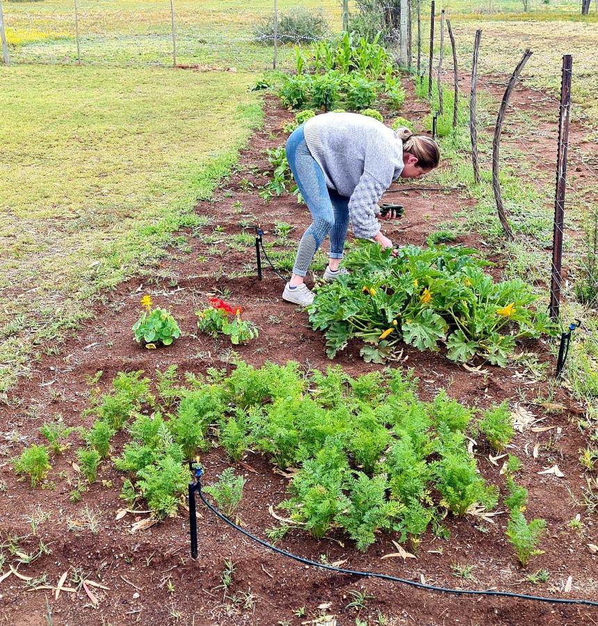 Little Farms Hotel Colesberg Bagian luar foto