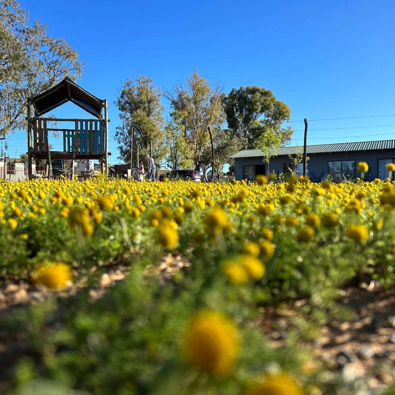 Little Farms Hotel Colesberg Bagian luar foto